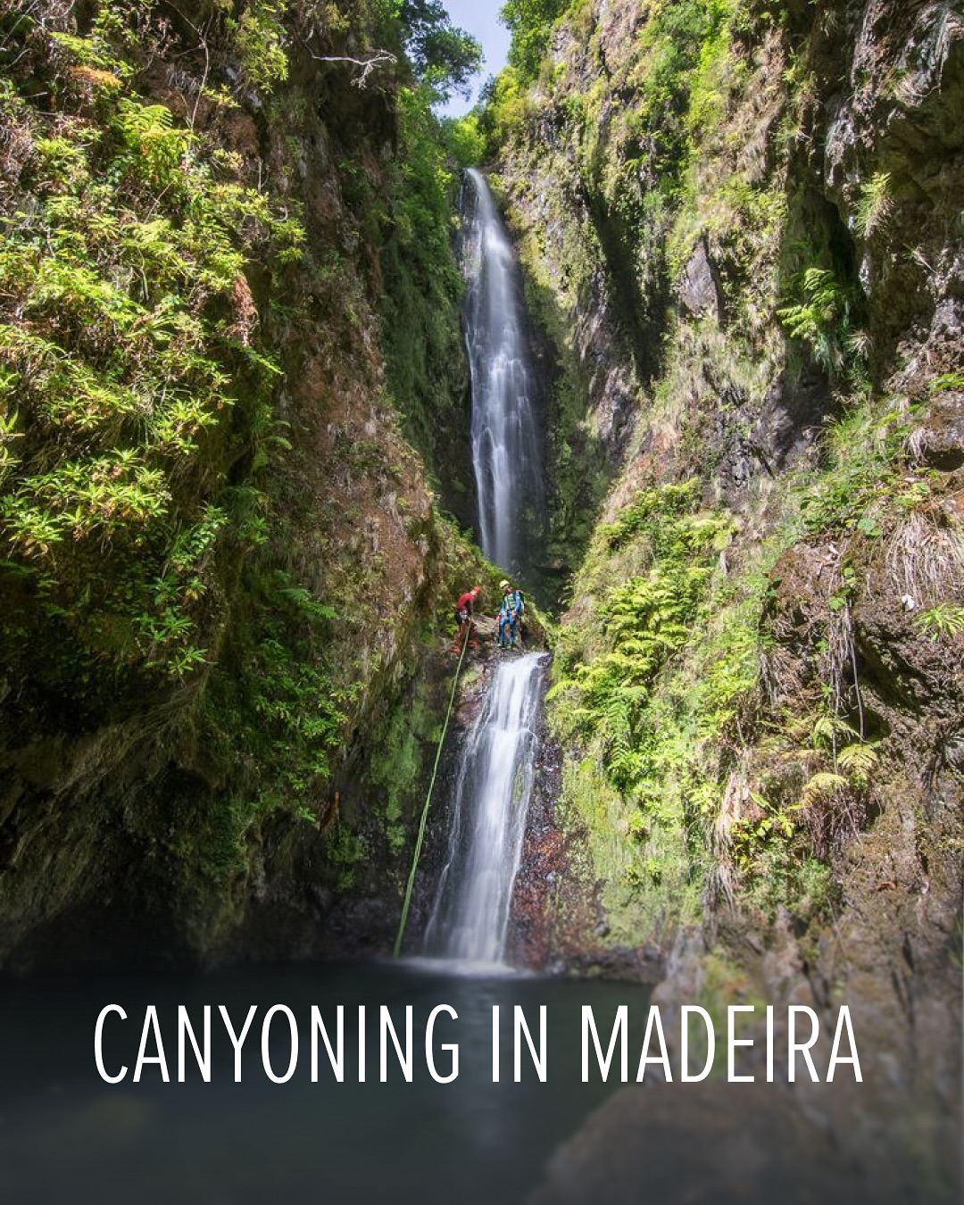 Ondas Instagram post