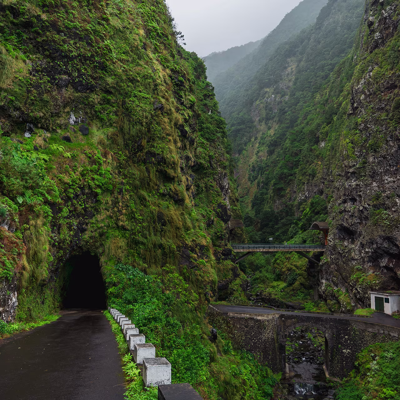 Best Scenic Drives in Madeira Island